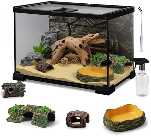 Vittqsuier 12x8x6 Mini Reptile Glass Terrarium Set (7 Pcs) Full View Hermit Crab Tank, Habitat Enclosure with Feeding Slot & Lock for Lizard, Bearded Dragon, Snake, Amphibians & Small Pets