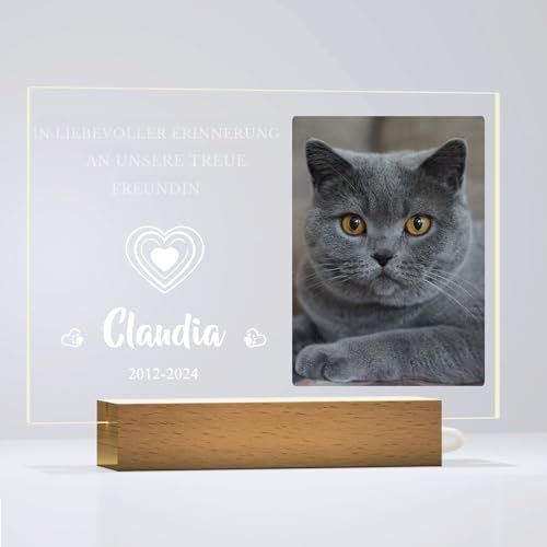 Dr Custom Personalisierte Gedenktafel für Katze, Grabstein mit Gravur, Tiergrabstein, Erinnerungsgeschenk mit Foto und Nachtlicht