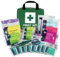LEWIS-PLAST Kit completo de primeros auxilios 90 Piezas de primeros auxilios al aire libre - kit que cumple con las normas europeas