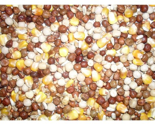 Johnston & Jeff All Rounder Pigeon Corn, 20 kg