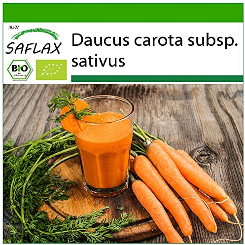SAFLAX - BIO - Carota - Early Nantes - 1500 semi - Daucus carota subsp. sativus