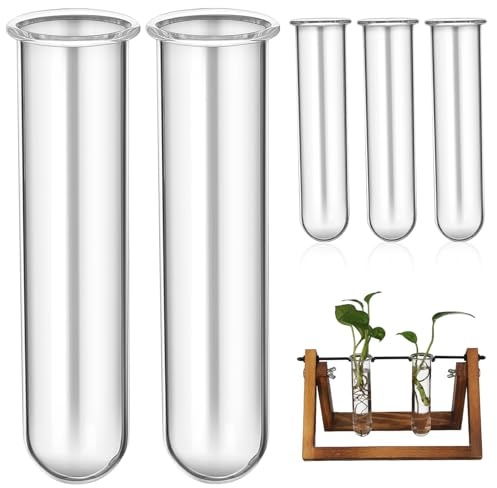 JOINPAYA 5pcs Glass Test Tube Propagation Vases Plant Propagation Tubes Hydroponic Water Culture Station for Home Décor and Desk Display (2.5×3×11cm)