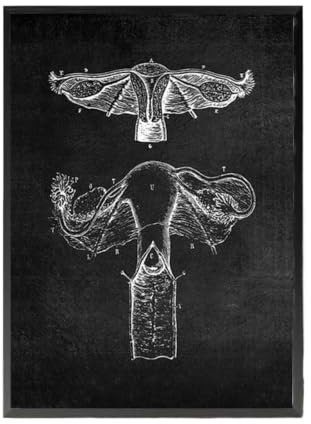 1 St Anatomikonst Vit Och Svart Medicinsk Dukmålning Blommaorgel Cardio Lung Affischutskrift Utbildning Sjukhus Heminredning