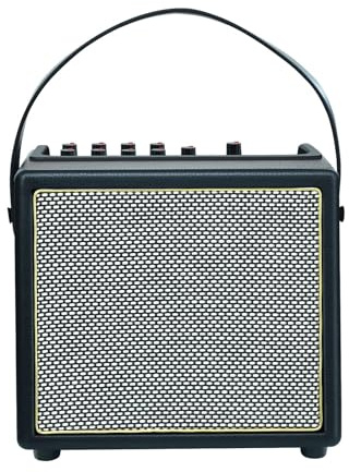 Amplificateur de guitare acoustique portable 30 W et amplificateur de guitare électrique, 5 effets, micro de réverbération, Bluetooth/AUX, enregistrement de type C, sortie casque pour les performances