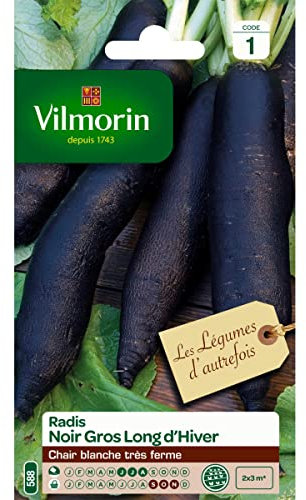 Vilmorin - Sachet graines Radis Noir Gros Long d'hiver