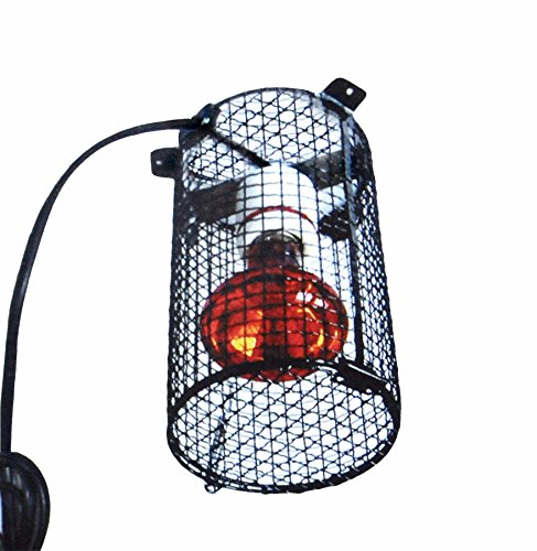 Dragon Grille de protection pour lampe Culot E27 en porcelaine inclus Ø 12 cm Hauteur 19 cm