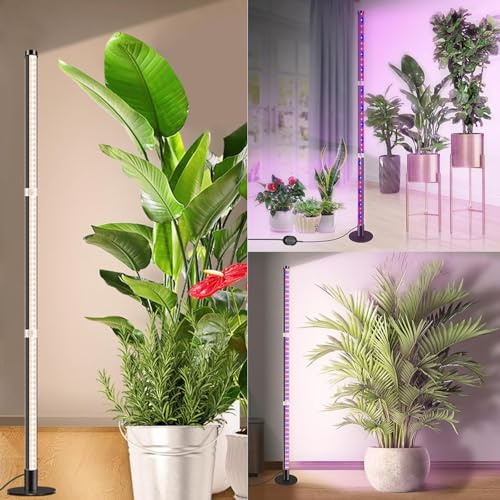 SIYOMG Pflanzenlampe LED Vollspektrum mit Timer | 243 LEDs Grow Licht mit 3 Modi für alle Wachstumsphasen, Höhenverstellbare Hänge/Stehlampe für Indoor Garten, Zimmerpflanzen und Kräuter