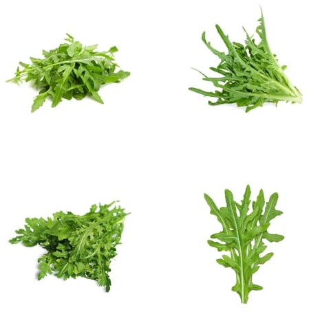 semi di rucola perenne biologica invernali resistenti per il giardino di rucola da orto, aiuole rialzate rampicanti resistenti 160pcs