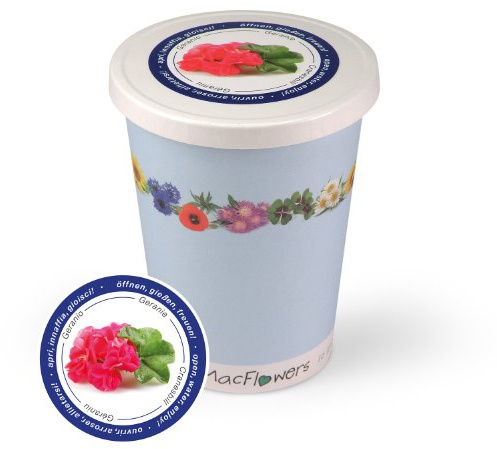 Blumen im Becher TO GROW - Geranie