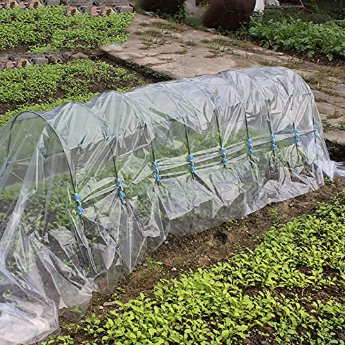 QLLL Tragbares Mini Gewächshaus mit PE Abdeckung, Gartengewächshaus mit Gewächshaus Kit, Tomatengewächshaus für Sämlinge, Blumen, Pflanzenzucht, Gartengewächshäuser