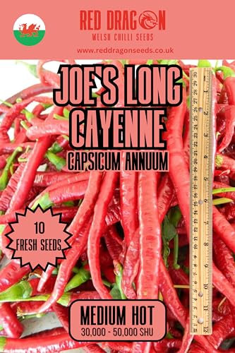 Joe's Long Cayenne Chilli Seeds - Cayenne Long Pepper Seeds