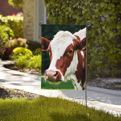 Flagge, 71 x 40 cm, Dekoration, Outdoor-Flaggen, robustes Banner, rote und weiße Rindslederflagge, 200D-Polyester, Hofflagge mit 2 Ösen, für drinnen und draußen, Gartenbanner für Urlaub, alle