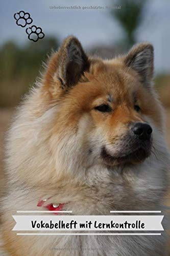 Vokabelheft mit Lernkontrolle: Vokabeln lernen mit System - 2 Spalten inkl. Kontrollkästchen | universal für alle Sprachen | 100 Seiten A5 | Motiv: Hund