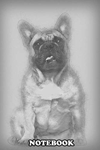 Notebook: English Bulldog Puppy 2 And A Half Months Old Sitting A , Journal for Writing, College Ruled Size 6 x 9, 110 Pages