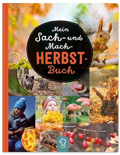 Mein Sach- und Mach-Herbst-Buch