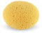 PARENCE.- Spugna da Bagno Vegetale Naturale – Doccia, Corpo e Viso – Dimensioni: 13x11x7 cm