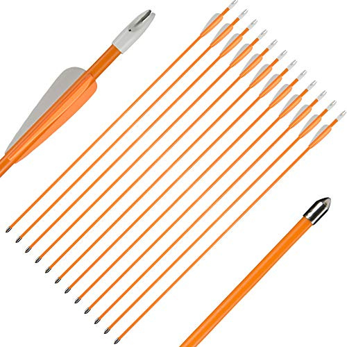 Huntingdoor 12 Unidades de Flechas de Tiro con Arco de 28/26 Pulgadas Flechas de práctica de Flechas de Fibra de Vidrio para Principiantes práctica de Arco y Flecha