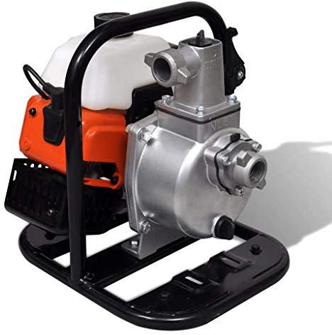 vidaXL Pompe à Eau Thermique 2 Temps 0,95 l Pompe de Jardin pour Eau Claire