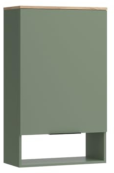 Vicco Hängeschrank Wido, Grün, 60 x 100 cm | mit Tür, zur Wandmontage geeignet für Badezimmer oder Küche