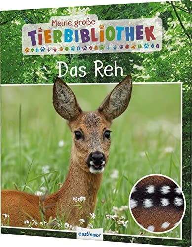 Meine große Tierbibliothek: Das Reh: Erstes Wissen für Vor- und Grundschule