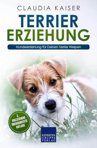 Terrier Erziehung: Hundeerziehung für Deinen Terrier Welpen