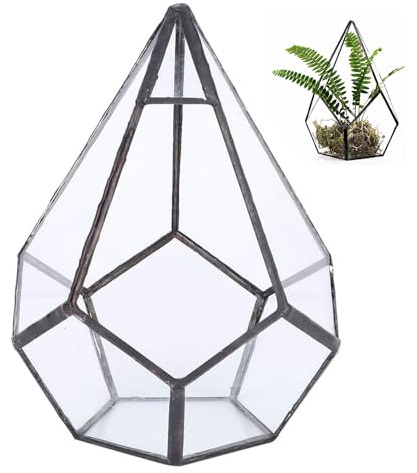Hapivida Geometrisches Glasterrarium, 12 x 12 x 14 cm Handmade Blumentopf Kleines Transparentes Glas Terrarium DIY Herzstück Landschaftsdekoration für Sukkulenten