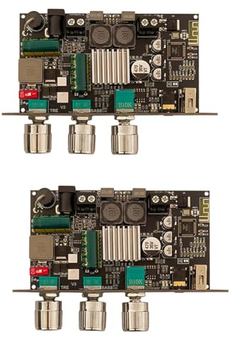 Heilanole 2pcs -1001U 100W Amplificateurs Mono Haute Puissance avec Bluetooth pour Systèmes Audio DIY