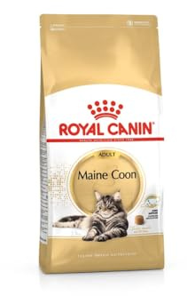 Royal Canin Maine Coon Adult | 2 kg | Trockenfutter für Katzen | Angepasst auf den Bedarf von Maine Coon Katzen
