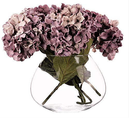 SOLAVIA Clear Glass Oval Flower Orchid Vase Terrarium 17 x 12cm Tank Vase Planter, Housewarming Gift