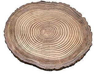 Holzmaserung Gartenstein Dekor Schöne Gartenkunst & Rasen Dekor Braun Trittstein für Außendekoration