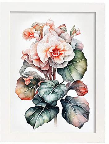 Nacnic Begonie Poster im nordischen Stil. Botanik Illustrationen mit Blumen und Pflanzen im Wasserfarbe. Innenarchitektur und Dekoration. A3 weißen Rahmen.