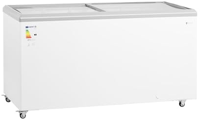 Royal Catering RCFGDF-450 congelatore 450 L porte in vetro bloccabili congelatore congelatore congelatore grande