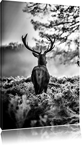 Pixxprint Hirsch Rivalen kämpfen, Größe: 80x60cm, Leinwandbild, fertig gespannt, Wandbild, Dekoration, Kunstdruck, kein Poster