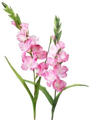 BQEE Long Stem Artificial Gladiolus Flower, Set of 2, Home/Wedding/Office Decor (Rossy)