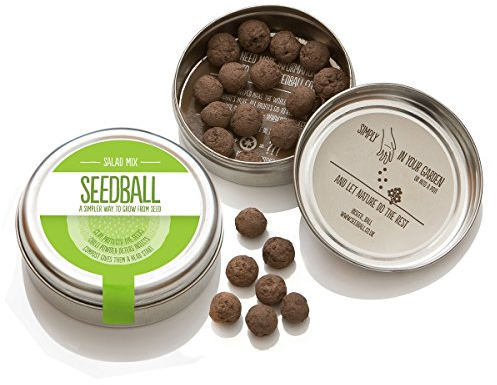 SEEDBALL Salad Seeds Mix for Kitchen and Garden | Mothers Day Gift Ideas & Gardening Gifts for Women & Men | Seeds for The Garden & Indoor Plant Pots | Rocket, Kale, Cress, Green & Red Mustard Seeds