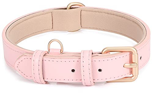 Leather Dog Collar Adjustable Soft Leather Padded Collar Heavy Duty for Small Medium Large Size Dogs with Alloy Buckle(Pink,M)