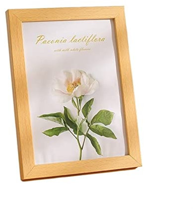 TOMYEUS Cornice Foto Semplice fotogramma da Foto del Tavolo Tridimensionale Semplice Telaio di Alta Gamma di Fiori di Calligrafia a Fiore di Calligrafia Cornice Portafoto (Color : C3, Size : A4 inch)