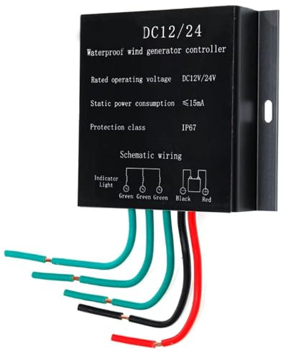 HYZHANHONG Negro,220V, Controlador híbrido eólico-Solar de 3000 W, regulador de Carga de batería para aerogeneradores de 220 V, 48 V, 24 V y 12 V (Negro)