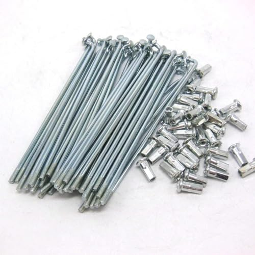 BIKECO Raggi per bicicletta elettrica da 10 g, in acciaio al carbonio, diametro 3,0 mm, per bici elettriche e moto elettriche (205 mm)