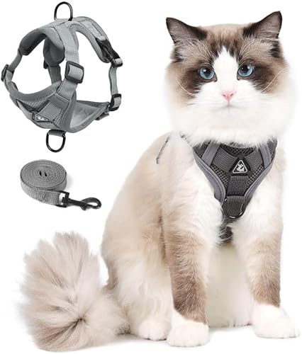 Katzengeschirr mit Leinen Set Ausbruchsicher, Verstellbare Weste mit Katzen Leine für Spaziergänge mit Kätzchen und Welpen im Freien, Weiche Netzjacke mit Reflektorstreifen (M, Grau)