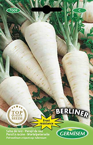 Germisem Berliner Semi Radice di Prezzemolo 3 g