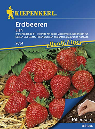 Kiepenkerl 2634 Erdbeere Elan (Pillensaat) (Erdbeersamen)