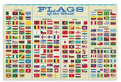 CYPGTBCK Poster éducatif sur toile avec drapeaux du monde pour salle de classe, décoration murale moderne pour chambre à coucher (40 x 60 cm)