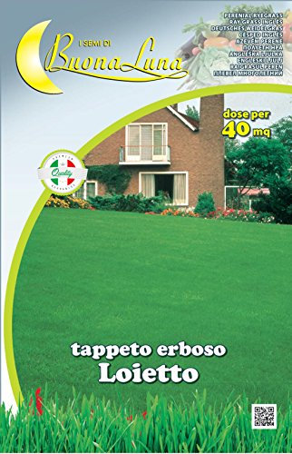 SEMI PRATO KG 1 'LOIETTO PERENNE'