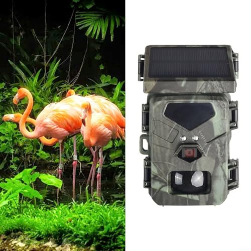 EasyByMall Caméra pour animaux sauvages, 20 MP 1080p 2600 mAh, batterie au lithium intégrée, rechargeable, caméra de chasse 0,3 s vitesse de déclenchement