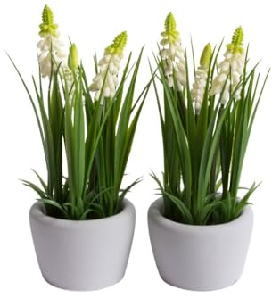 Botanic-Haus künstliches Muscariarrangement/Traubenhyazinthe im grauen Zementtopf Farbe: Creme (2 Stück)