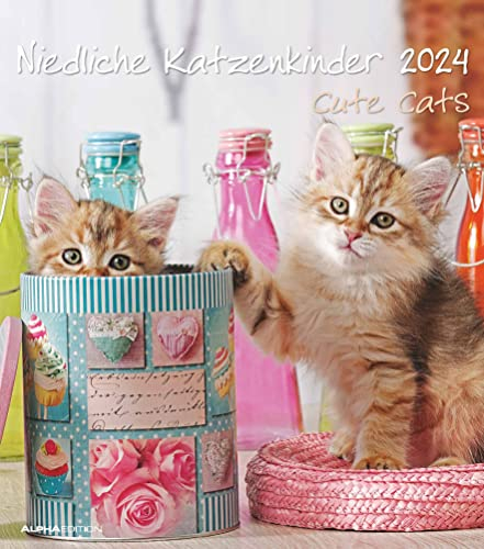 Niedliche Katzenkinder 2024 - Wand-Kalender - Tier-Kalender - 30x34: Cute Cats