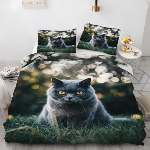 EXSANLIEAY KopfhöRer Bettwäsche 200x200 - Einfach Wendebettwäsche, Weiche & Atmungsaktiv Microfaser Bettbezug + 2 Kissenbezug 80x80, Angenehme bettwäsche-Sets, 3 Teiligmit Reißverschluss