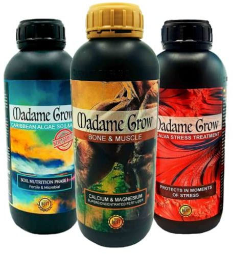 MADAME GROW Dünger 420 grüne Pflanzen - Dünger für grüne Pflanzen - Flüssigdünger für Pflanzen - Universaldünger - Dünger für Pflanzen - aromatische Früchte - deckt Mängel ab (KIT AQUA HUERTO 3x1L)