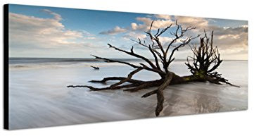 Augenblicke Wandbilder Keilrahmenbild Wandbild 150x50cm Baum Geäst Nebel Wolken Himmel